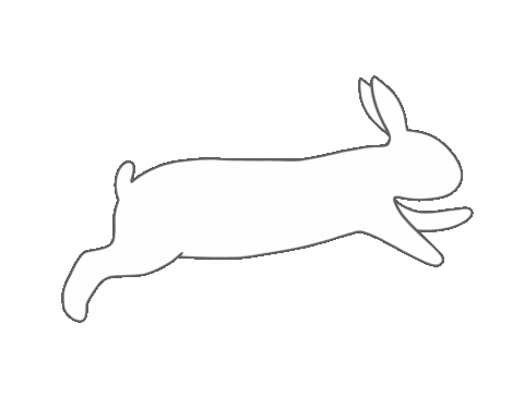 Running Rabbit